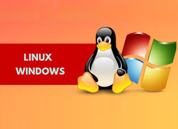 Linux/Windows operating system